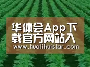 种植基地六