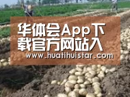 种植基地八