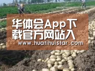 种植基地七(图1)