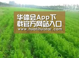 种植基地四