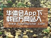 种植基地八(图1)
