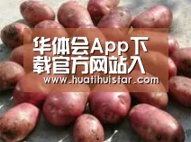 产品展示标题5(图1)