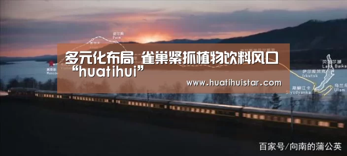 hth华体会官网