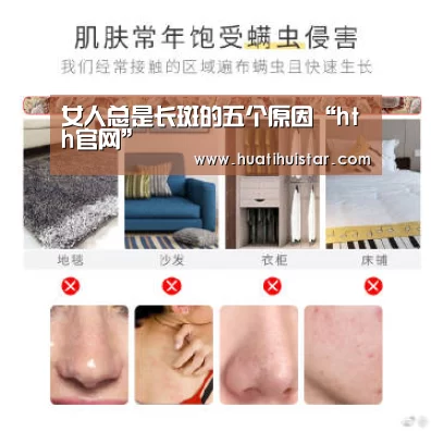 hth华体会官网