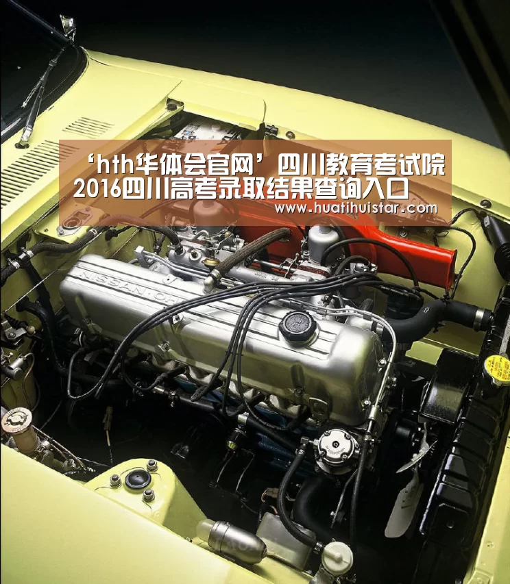 ‘hth华体会官网’四川教育考试院2016四川高考录取结果查询入口(图2)
