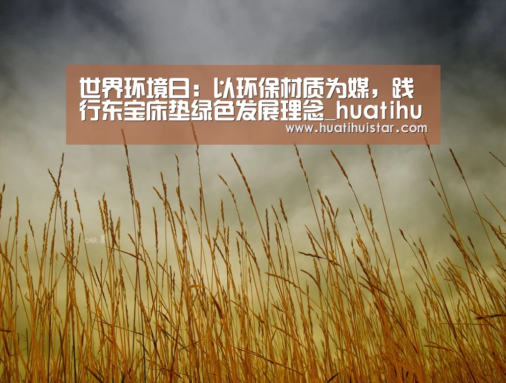 世界环境日:以环保材质为媒,践行东宝床垫绿色发展理念_huatihui(图1) 世界环境日:以环保材质为媒,践行东宝床垫绿色发展理念_huatihui(图1)