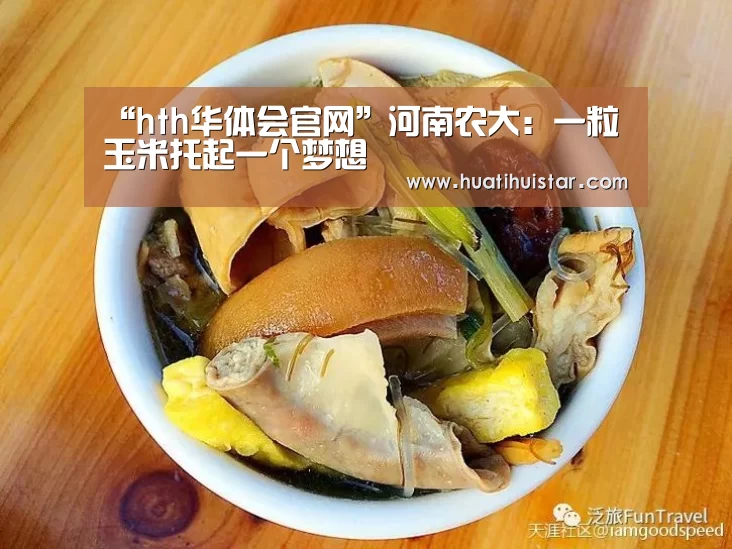 hth华体会官网