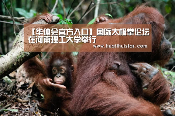 【华体会官方入口】国际太极拳论坛在河南理工大学举行(图1) hth华体会官网