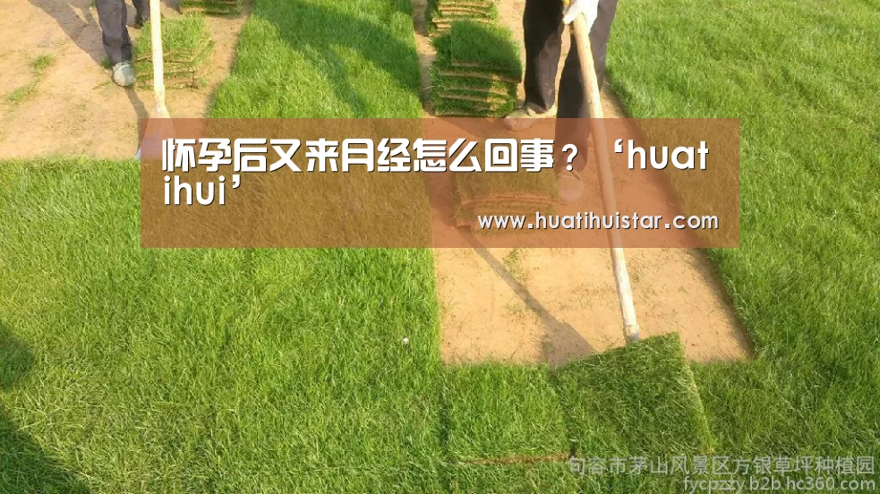 怀孕后又来月经怎么回事？‘huatihui’(图1)