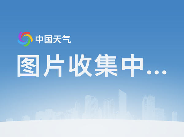 创设自由天地，让户外活动更精彩——中二班户外游戏精彩花絮【hth华体会官网】(图1)