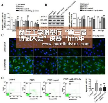 商丘工学院举行“第三届诗词大会”决赛‘hth华体会官网’(图2)